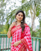 Traditional Printed Border Dola Silk Saree