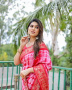 Traditional Printed Border Dola Silk Saree