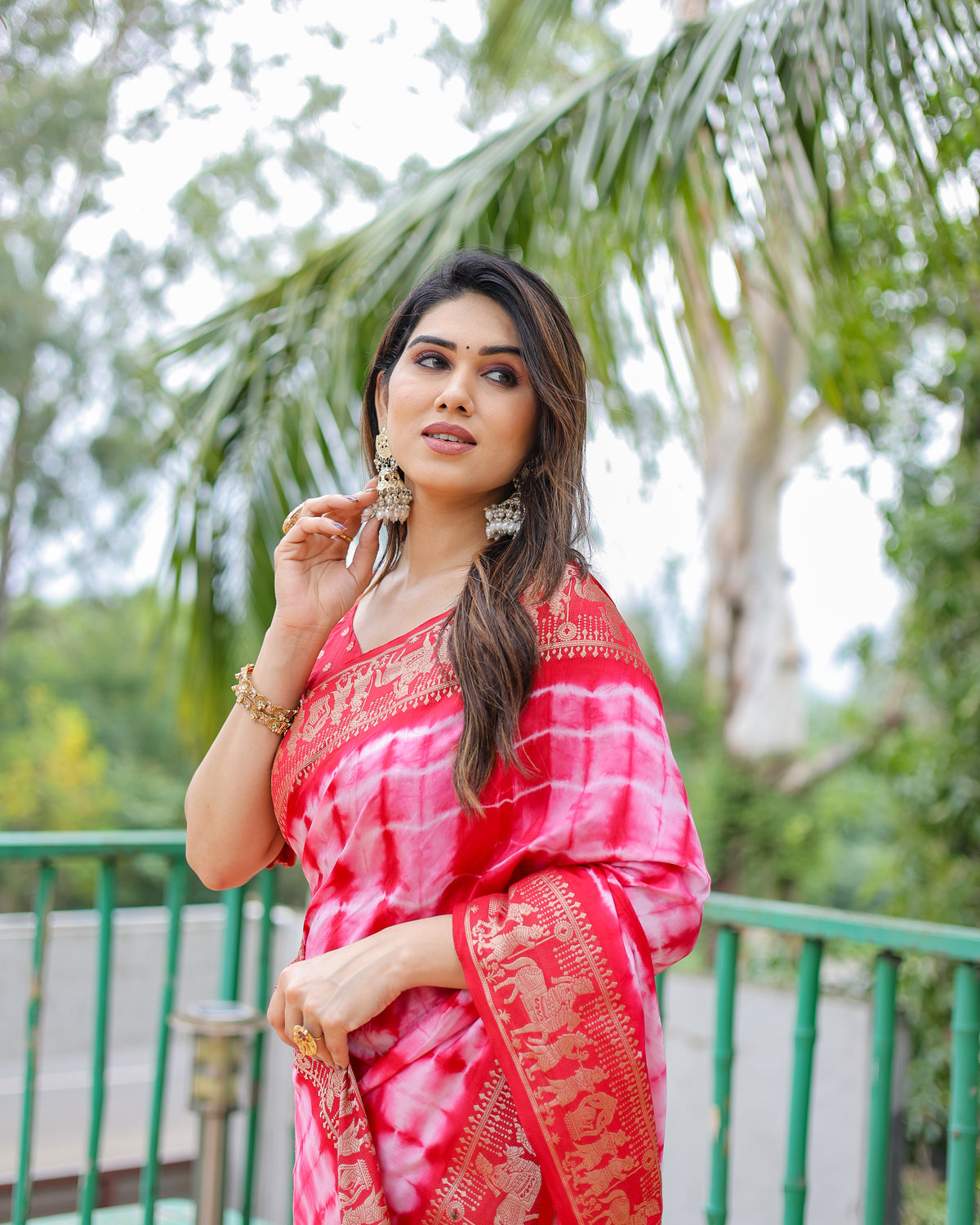 Traditional Printed Border Dola Silk Saree