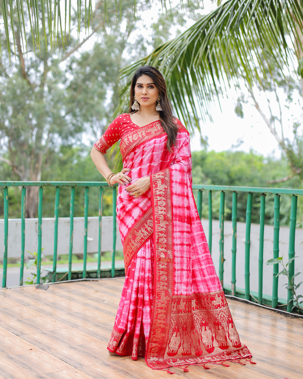 Traditional Printed Border Dola Silk Saree