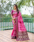 Traditional Printed Border Dola Silk Saree