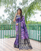 Traditional Printed Border Dola Silk Saree