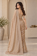 Designer Western Tissue Handwork Saree