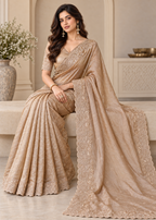 Designer Western Tissue Handwork Saree