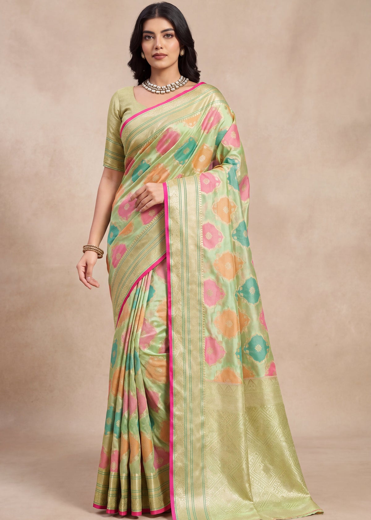 Elegant Woven Motifs Organza Banarasi Saree